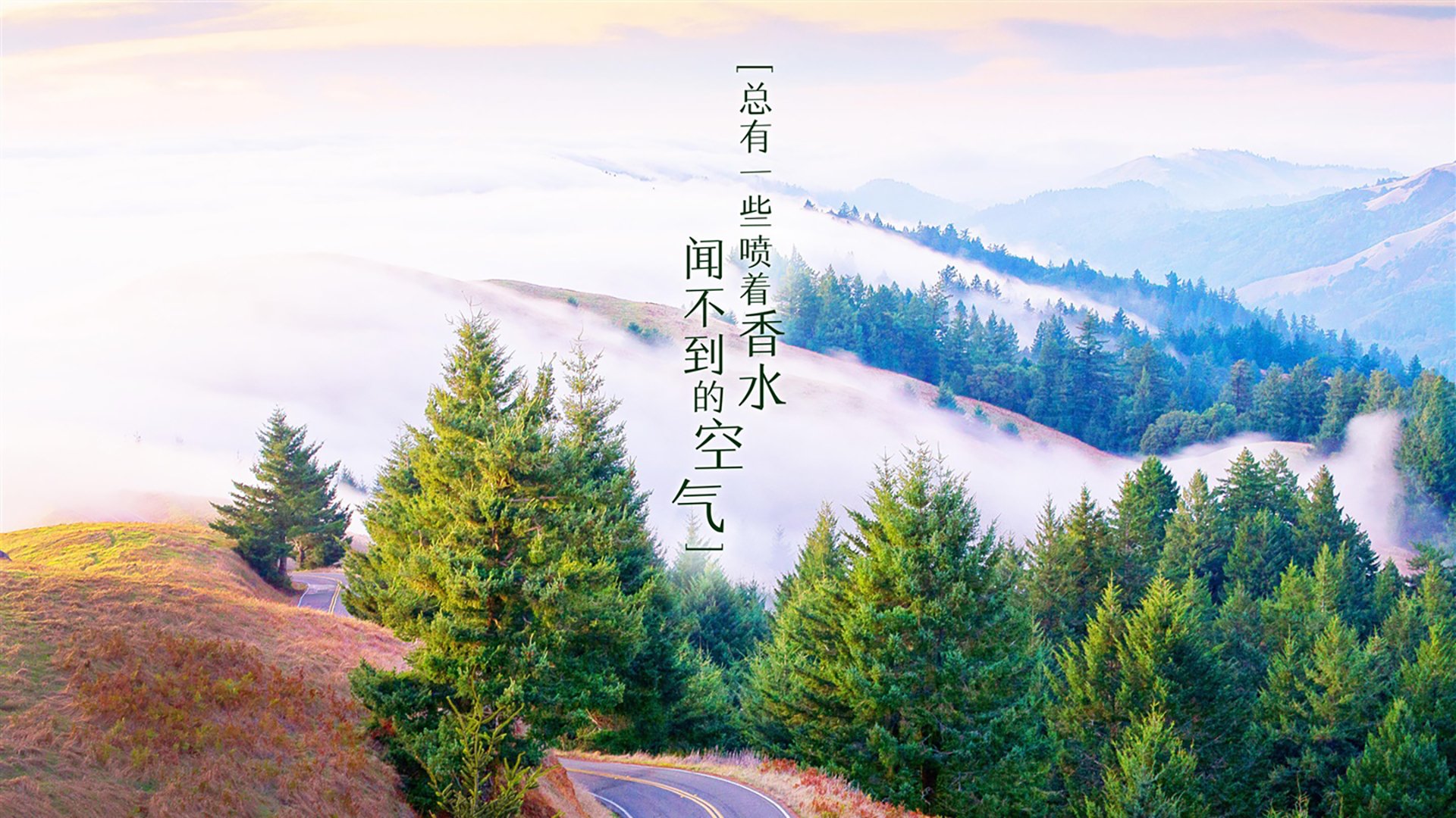 世界学生攀冰国际交流:极端条件下设备改良获关注,世界攀岩大赛视频